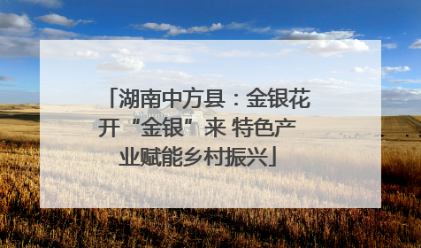 湖南中方县：金银花开“金银”来 特色产业赋能乡村振兴