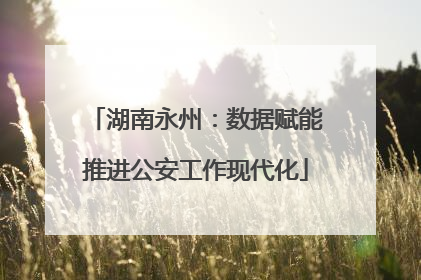 湖南永州：数据赋能推进公安工作现代化