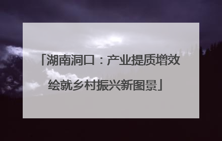 湖南洞口：产业提质增效 绘就乡村振兴新图景