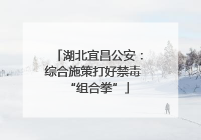 湖北宜昌公安：综合施策打好禁毒“组合拳”