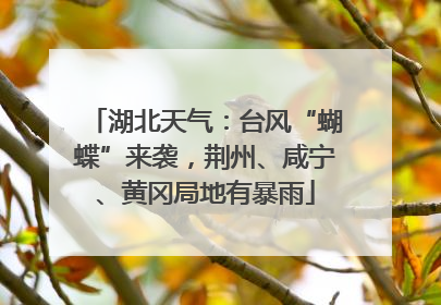湖北天气：台风“蝴蝶”来袭，荆州、咸宁、黄冈局地有暴雨