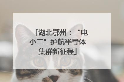 湖北鄂州：“电小二”护航半导体集群新征程