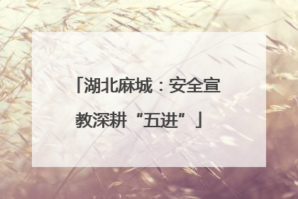湖北麻城：安全宣教深耕“五进”