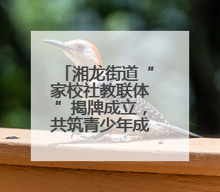 湘龙街道“家校社教联体”揭牌成立，共筑青少年成长安全网