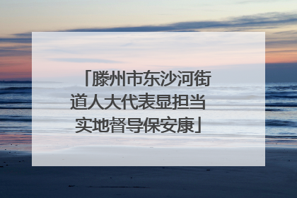 滕州市东沙河街道人大代表显担当实地督导保安康