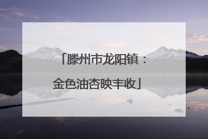 滕州市龙阳镇：金色油杏映丰收