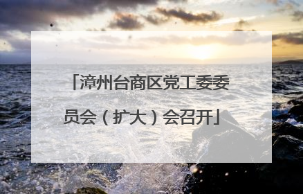 漳州台商区党工委委员会（扩大）会召开