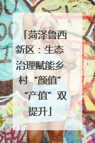 菏泽鲁西新区：生态治理赋能乡村“颜值”“产值”双提升