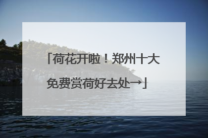荷花开啦！郑州十大免费赏荷好去处→
