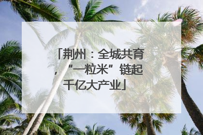 荆州：全城共育，“一粒米”链起千亿大产业