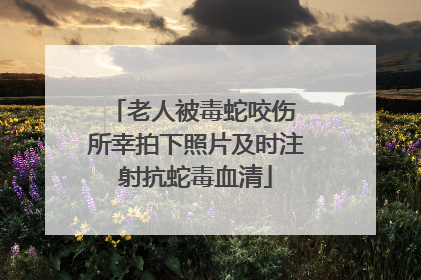 老人被毒蛇咬伤 所幸拍下照片及时注射抗蛇毒血清