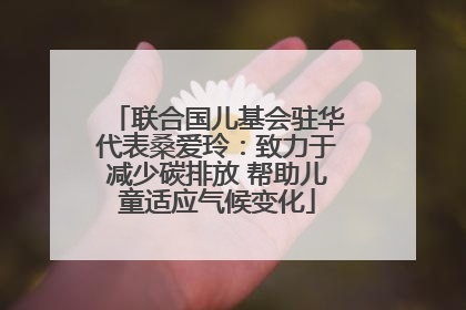 联合国儿基会驻华代表桑爱玲：致力于减少碳排放 帮助儿童适应气候变化