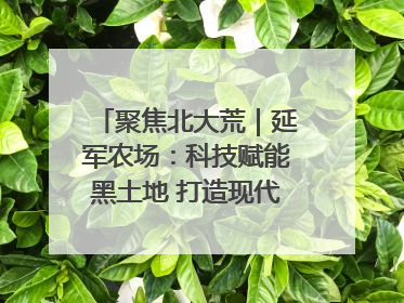 聚焦北大荒｜延军农场：科技赋能黑土地 打造现代农业“智慧芯”