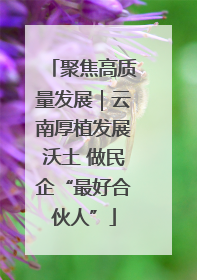 聚焦高质量发展｜云南厚植发展沃土 做民企“最好合伙人”