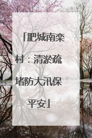 肥城南栾村：清淤疏堵防大汛保平安