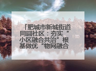 肥城市新城街道同圆社区：夯实“小区融合共治”根基做优“物网融合一家亲”品牌