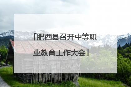 肥西县召开中等职业教育工作大会