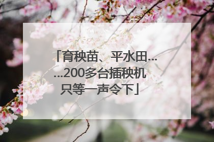 育秧苗、平水田……200多台插秧机只等一声令下