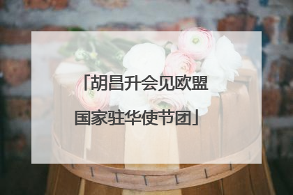 胡昌升会见欧盟国家驻华使节团
