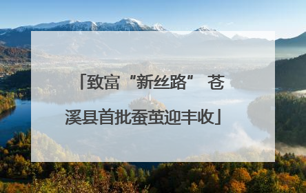 致富“新丝路” 苍溪县首批蚕茧迎丰收