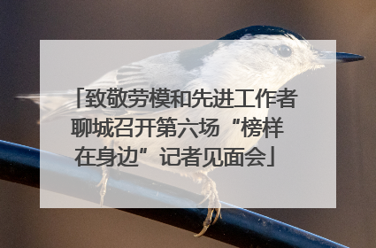 致敬劳模和先进工作者 聊城召开第六场“榜样在身边”记者见面会