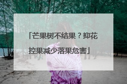 芒果树不结果？抑花控果减少落果危害