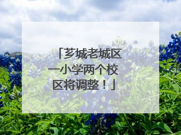 芗城老城区一小学两个校区将调整！