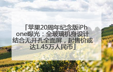 苹果20周年纪念版iPhone曝光：全玻璃机身设计结合无开孔全面屏，起售价或达1.45万人民币