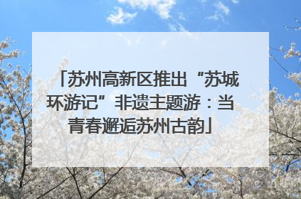 苏州高新区推出“苏城环游记”非遗主题游：当青春邂逅苏州古韵