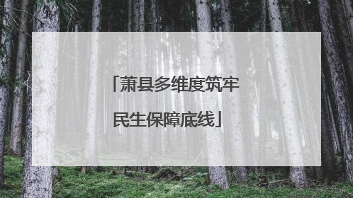 萧县多维度筑牢民生保障底线