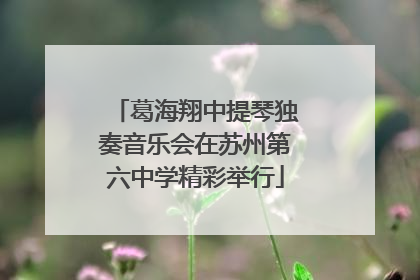 葛海翔中提琴独奏音乐会在苏州第六中学精彩举行