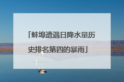 蚌埠遭遇日降水量历史排名第四的暴雨