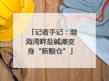 记者手记：渤海湾畔盐碱滩变身“新粮仓”