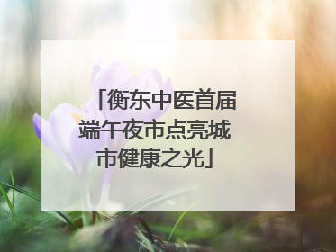 衡东中医首届端午夜市点亮城市健康之光