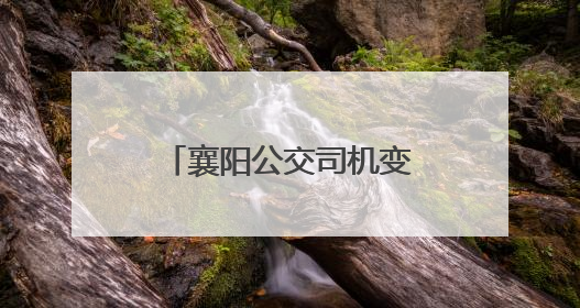 襄阳公交司机变身“文曲星” 连续3年高考送考