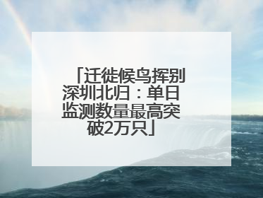 迁徙候鸟挥别深圳北归：单日监测数量最高突破2万只