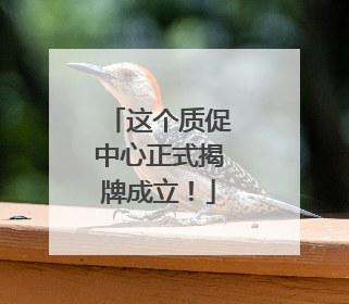 这个质促中心正式揭牌成立！