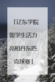 辽东学院留学生活力亮相丹东匹克球赛