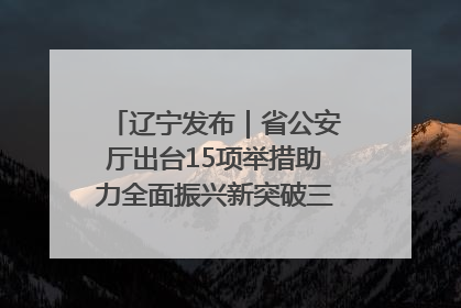 辽宁发布｜省公安厅出台15项举措助力全面振兴新突破三年行动决胜之战