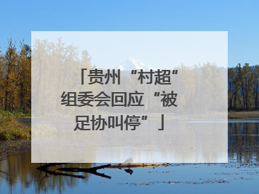 贵州“村超”组委会回应“被足协叫停”