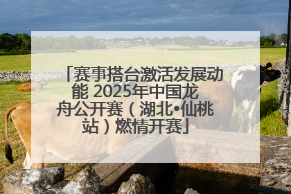 赛事搭台激活发展动能 2025年中国龙舟公开赛（湖北•仙桃站）燃情开赛