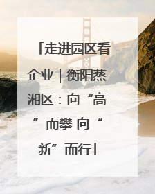 走进园区看企业｜衡阳蒸湘区：向“高”而攀 向“新”而行