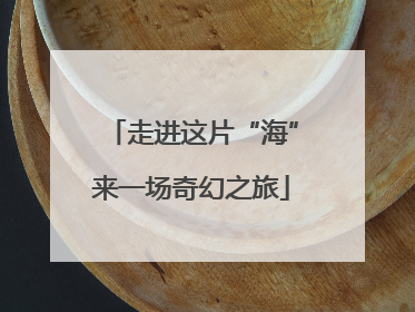 走进这片“海”来一场奇幻之旅