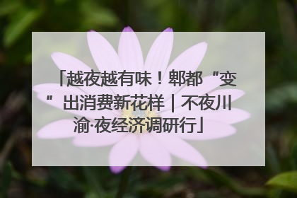 越夜越有味！郫都“变”出消费新花样｜不夜川渝·夜经济调研行
