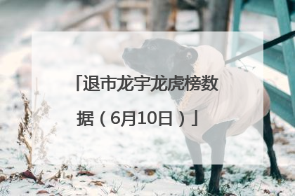 退市龙宇龙虎榜数据（6月10日）