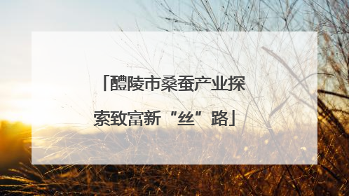 醴陵市桑蚕产业探索致富新“丝”路