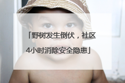 野树发生倒伏，社区4小时消除安全隐患