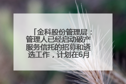 金科股份管理层：管理人已经启动破产服务信托的招募和遴选工作，计划在6月初召开评审会