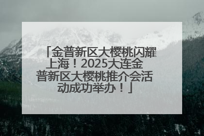 金普新区大樱桃闪耀上海！2025大连金普新区大樱桃推介会活动成功举办！