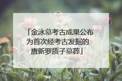 金泳墓考古成果公布 为首次经考古发掘的唐新罗质子墓葬